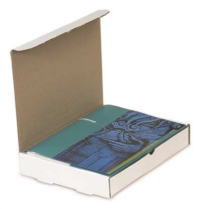 Protective Literature Mailers image