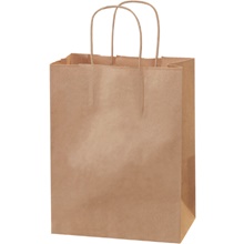 8 x 4 1/2 x 10 1/4" Kraft Paper Shopping Bags image