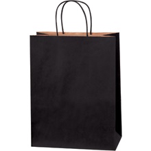 10 x 5 x 13" Black Tinted Shopping Bags image