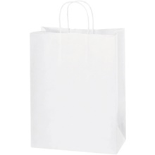 10 x 5 x 13" White Paper Shopping Bags image