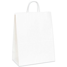 13 x 7 x 17" White Paper Shopping Bags image