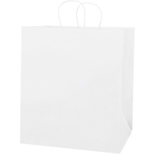 14 1/2 x 9 x 16 1/4" White Paper Shopping Bags image