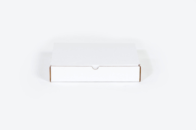 12 1/8 x 9 1/4 x 6" Protective Literature Mailer image