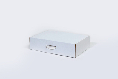 18 1/4 x 11 3/8 x 2 11/16"  Carrying Case with Plastic Handle image