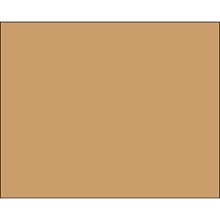 8 x 10" - Kraft Block Out Labels image