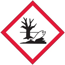 2 x 2" Pictogram - Environment Labels image