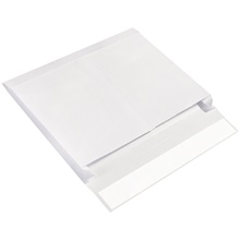 10 x 15 x 2" Expandable Ship-Lite® Envelopes image
