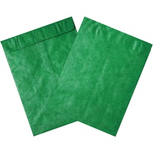 12 x 15 1/2" Green Tyvek® Envelopes image