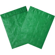9 x 12" Green Tyvek® Envelopes image