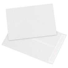 9 1/2 x 12 1/2" White Flat Tyvek® Envelopes image