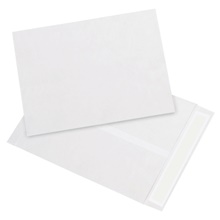 9 x 12" White Flat Tyvek® Envelopes image