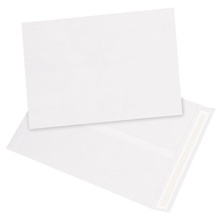 12 x 15 1/2" White Flat Tyvek® Envelopes image